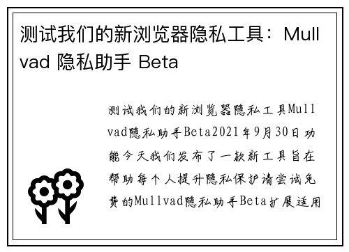 测试我们的新浏览器隐私工具：Mullvad 隐私助手 Beta 