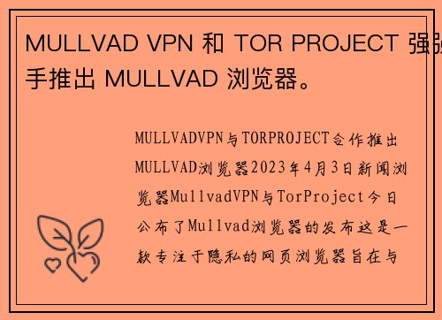 MULLVAD VPN 和 TOR PROJECT 强强联手推出 MULLVAD 浏览器。 