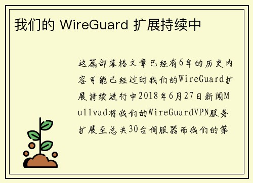 我们的 WireGuard 扩展持续中 